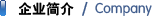 企業(yè)簡(jiǎn)介